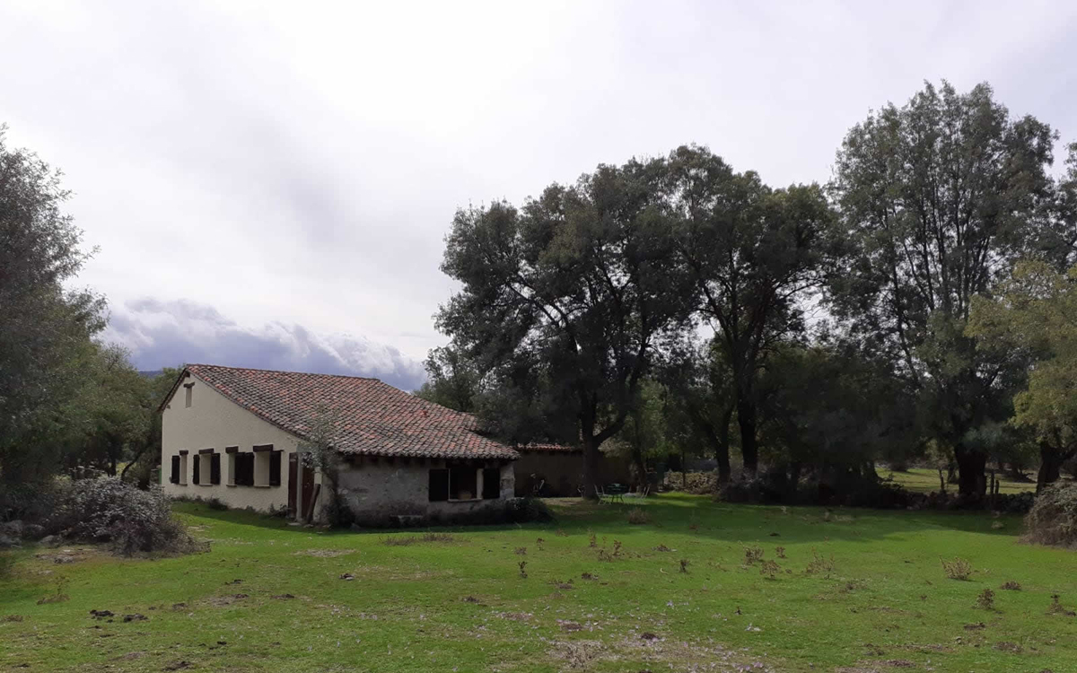 Finca rural el Molino de las Eras en Alameda del Valle, ocio y actividades, con huerto y gallinero rural ecológico